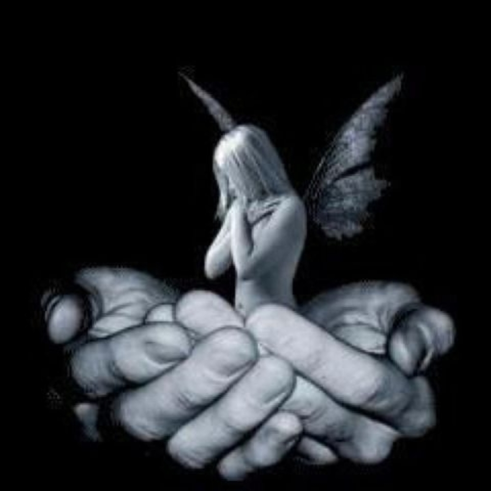 Meet your Posher, Sherrie